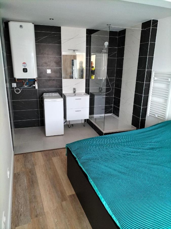 Appartement 2 Pieces Rive-de-Gier Bagian luar foto