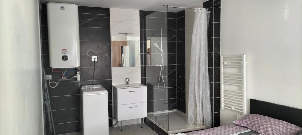 Appartement 2 Pieces Rive-de-Gier Bagian luar foto